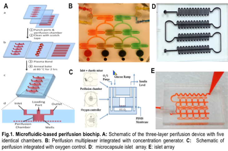 6 images depicting - A: Schematic of the three-layer perifusion devise with 5 identical chambers. B: Perifusion mulyiplexer integrated with concentration generator. C: Schematic of perifusion integrated with oxygen control. D: Microcapsule islet array. E: islet array.