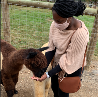 University of Virginia Prisca Obidike, MD, Surgery Resident feeds a miniature pony.